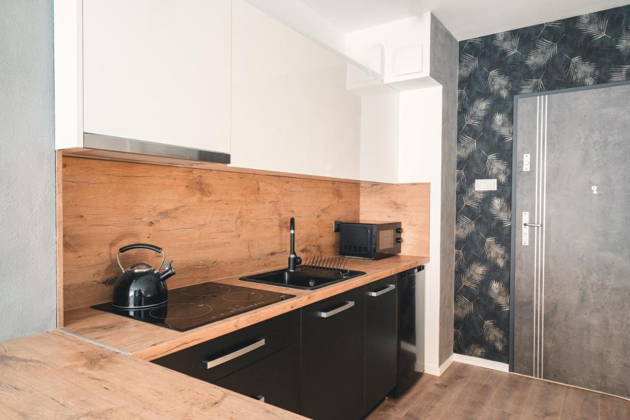 Apartament Nr 16 - Zrodlana 2 Apartman Świeradów-Zdrój Kültér fotó