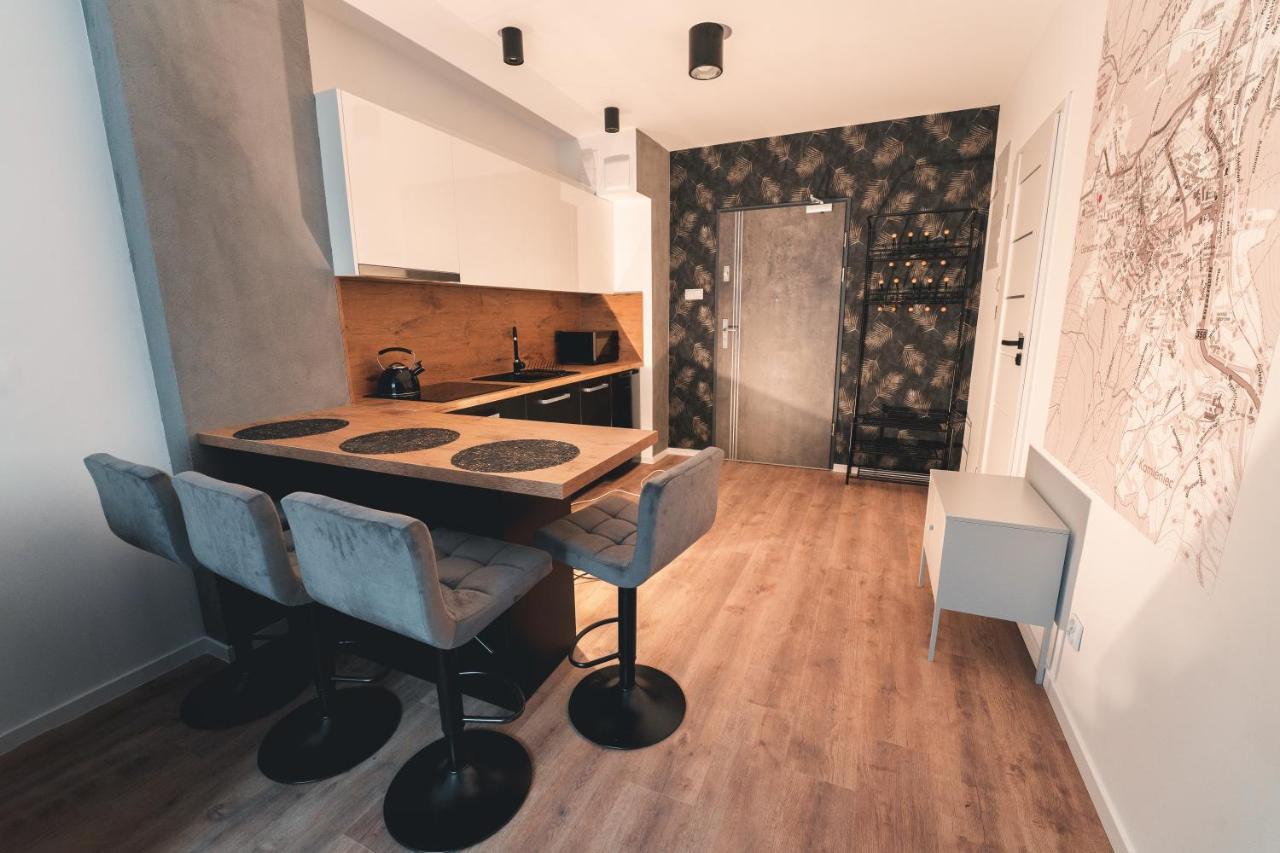 Apartament Nr 16 - Zrodlana 2 Apartman Świeradów-Zdrój Kültér fotó